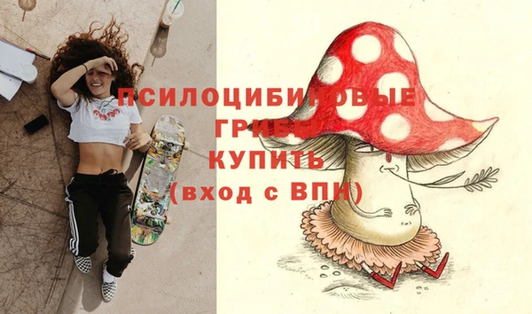 PSILOCYBIN Аркадак